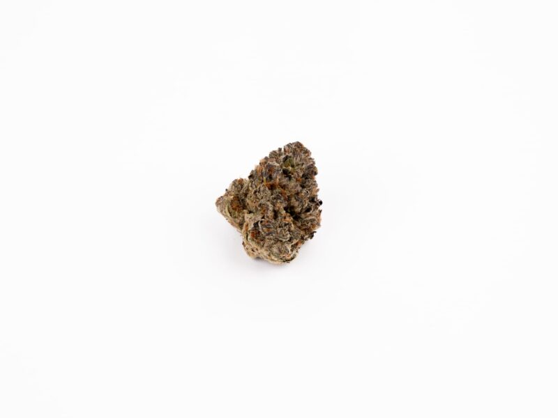 Nimbus easy 22/1 Jet Fuel Apricot